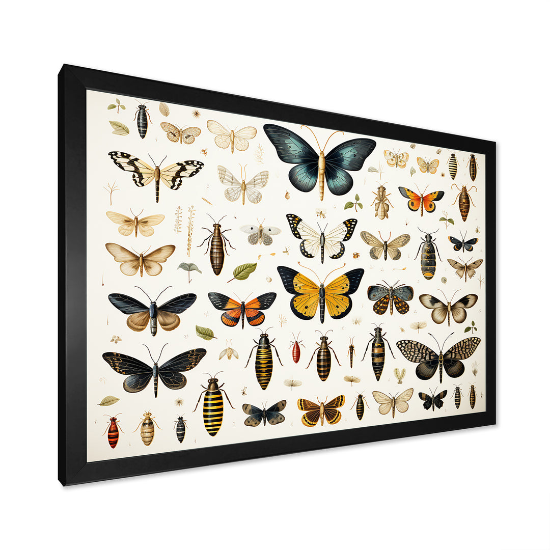 Blue and yellow Insects and Bugs - Insects &amp; Bugs Home Decor Art