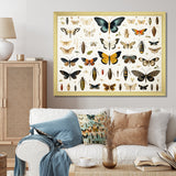 Blue and yellow Insects and Bugs - Insects & Bugs Home Decor Art