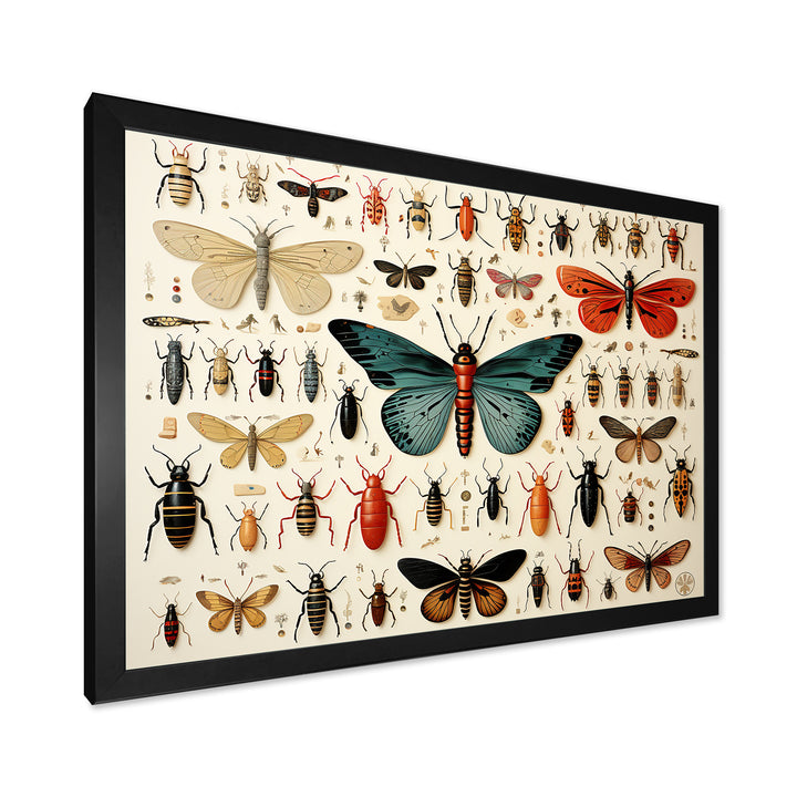 Blue and orange Insects and Bugs - Insects &amp; Bugs Living Room Wall Art