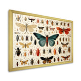 Blue and orange Insects and Bugs - Insects & Bugs Living Room Wall Art