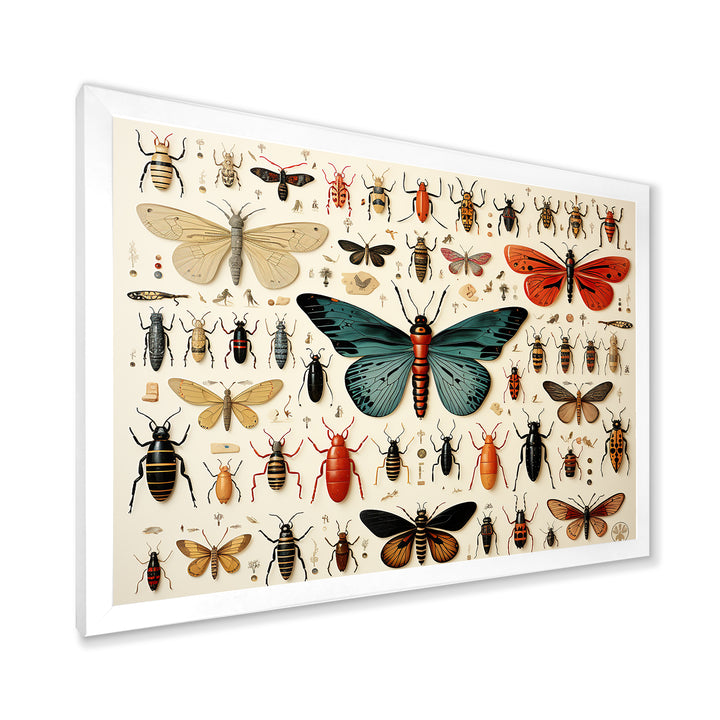 Blue and orange Insects and Bugs - Insects &amp; Bugs Living Room Wall Art