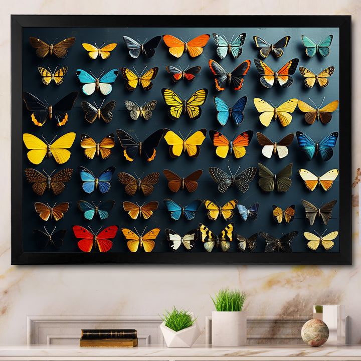 Colorful fluttering butterflies collage - Insects &amp; Bugs Home Decor Art