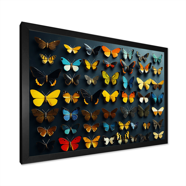 Colorful fluttering butterflies collage - Insects &amp; Bugs Home Decor Art