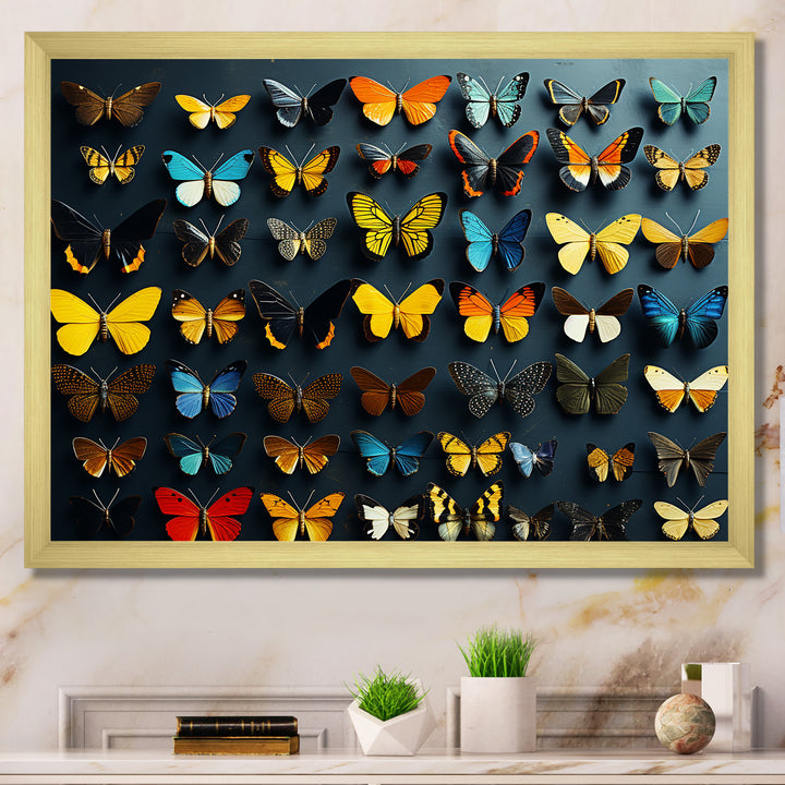 Colorful fluttering butterflies collage - Insects &amp; Bugs Home Decor Art
