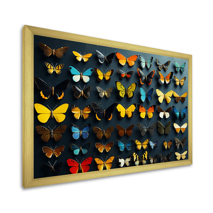 Colorful fluttering butterflies collage - Insects &amp; Bugs Home Decor Art