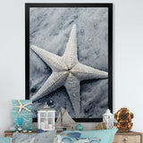 Grey minimalist Starfish Coastal gem - Starfish Wall Decor