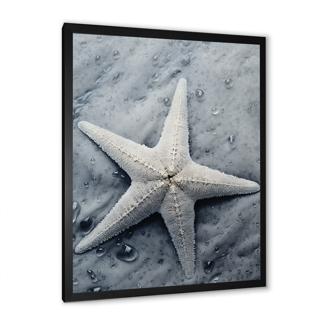 Grey minimalist Starfish Coastal gem - Starfish Wall Decor