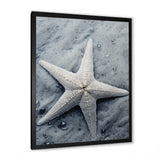Grey minimalist Starfish Coastal gem - Starfish Wall Decor