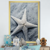 Grey minimalist Starfish Coastal gem - Starfish Wall Decor
