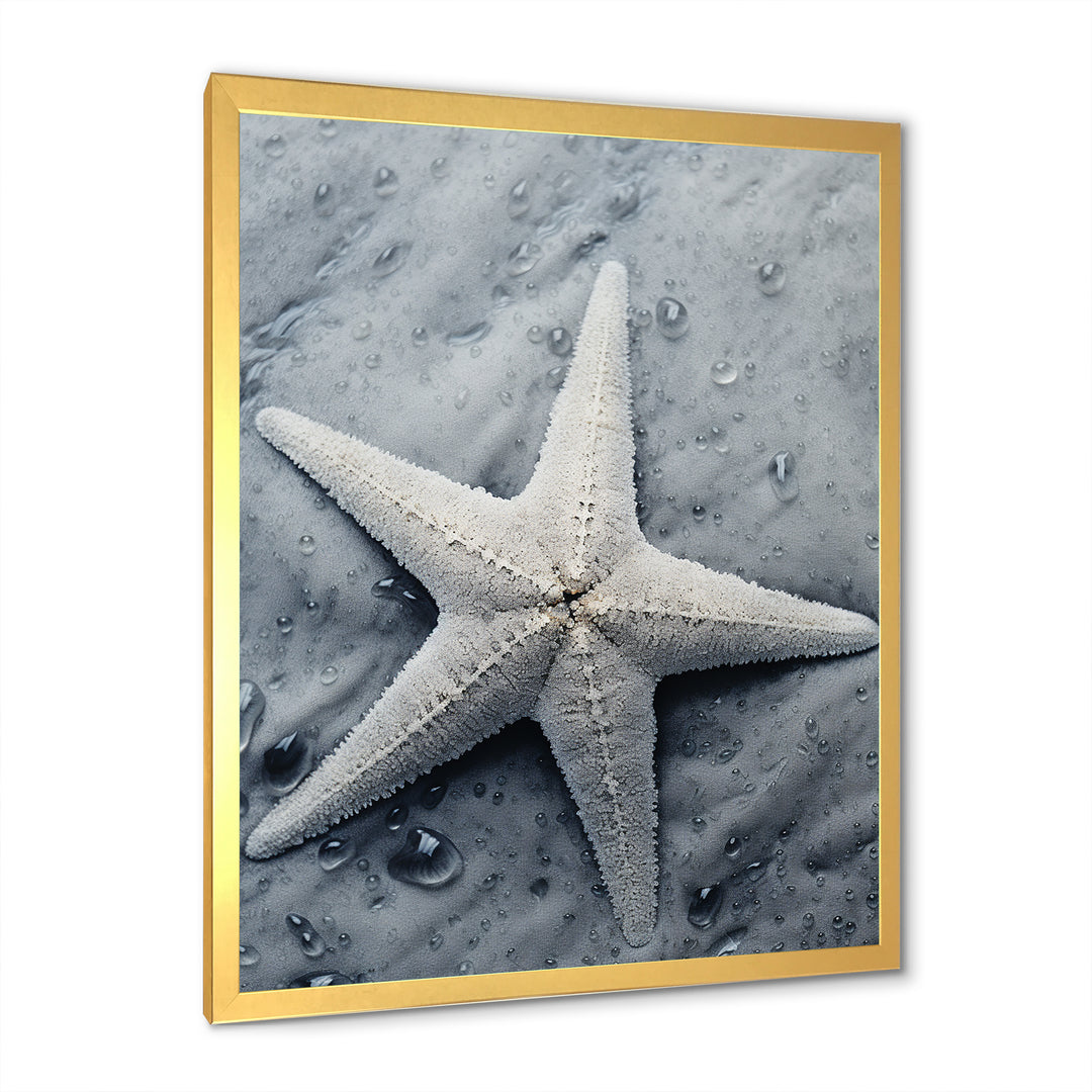Grey minimalist Starfish Coastal gem - Starfish Wall Decor
