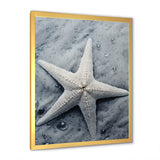 Grey minimalist Starfish Coastal gem - Starfish Wall Decor