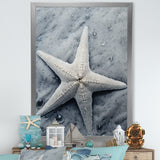 Grey minimalist Starfish Coastal gem - Starfish Wall Decor