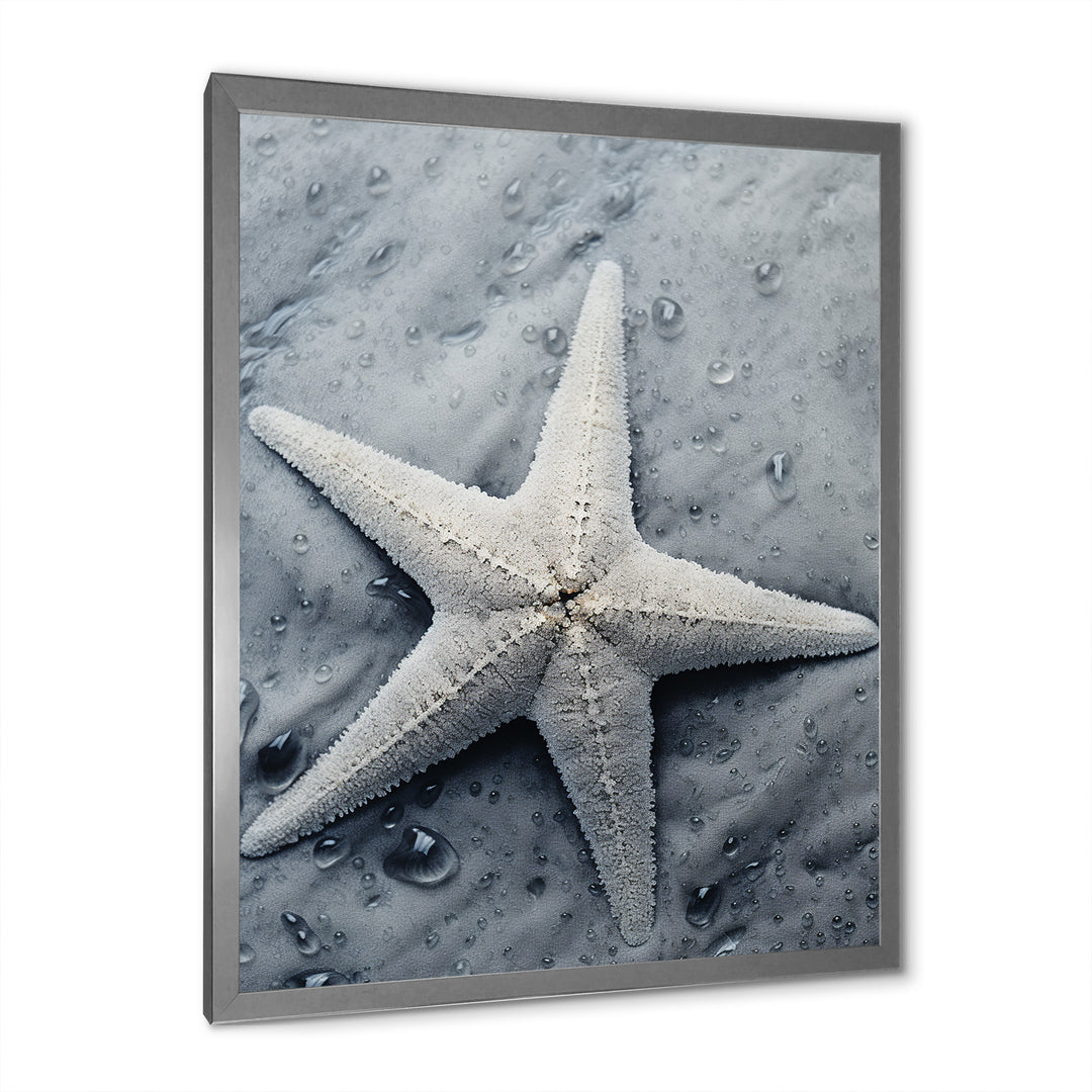 Grey minimalist Starfish Coastal gem - Starfish Wall Decor