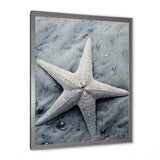 Grey minimalist Starfish Coastal gem - Starfish Wall Decor