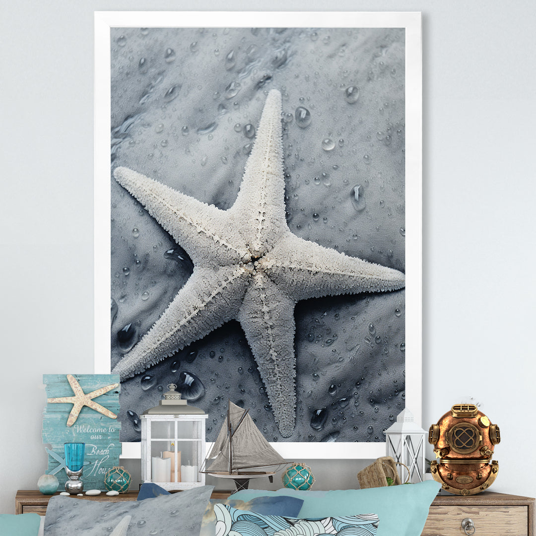 Grey minimalist Starfish Coastal gem - Starfish Wall Decor
