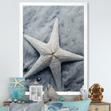 Grey minimalist Starfish Coastal gem - Starfish Wall Decor