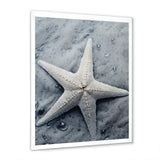 Grey minimalist Starfish Coastal gem - Starfish Wall Decor