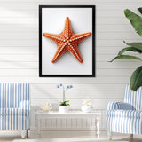 Minimalist starfish orange - Starfish Wall Decor