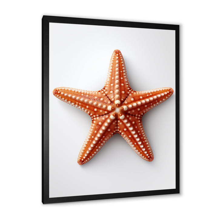Minimalist starfish orange - Starfish Wall Decor