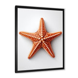 Minimalist starfish orange - Starfish Wall Decor
