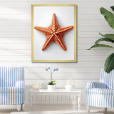 Minimalist starfish orange - Starfish Wall Decor