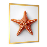 Minimalist starfish orange - Starfish Wall Decor
