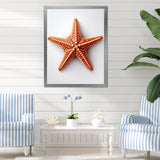 Minimalist starfish orange - Starfish Wall Decor