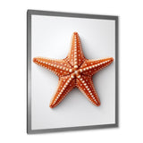 Minimalist starfish orange - Starfish Wall Decor