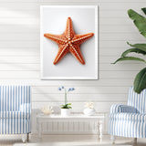 Minimalist starfish orange - Starfish Wall Decor