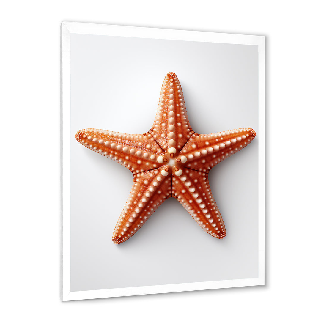Minimalist starfish orange - Starfish Wall Decor