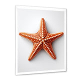 Minimalist starfish orange - Starfish Wall Decor