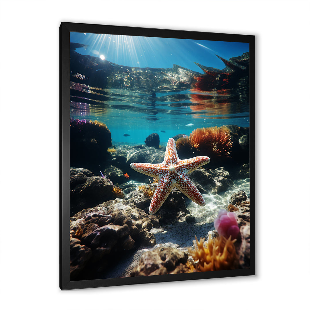 Blue Rainbow Starfish photo - Blue Starfish Wall Art