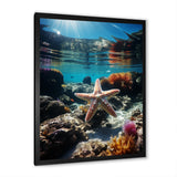 Blue Rainbow Starfish photo - Blue Starfish Wall Art