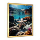 Blue Rainbow Starfish photo - Blue Starfish Wall Art