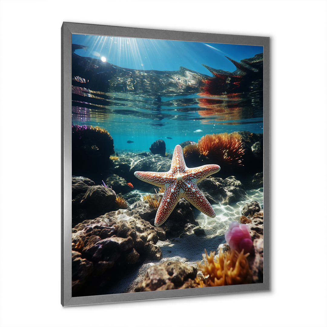 Blue Rainbow Starfish photo - Blue Starfish Wall Art