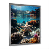 Blue Rainbow Starfish photo - Blue Starfish Wall Art