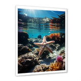 Blue Rainbow Starfish photo - Blue Starfish Wall Art