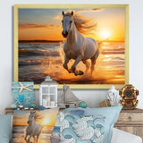 Wild horse running on beach 1 - Coastal Canvas Wall Art