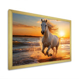 Wild horse running on beach 1 - Coastal Canvas Wall Art