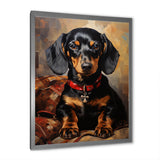 Cute Dog dachshund portrait - Dog Living Room Wall Art