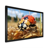Curious ladybug meadows - Ladybug Canvas Wall Art