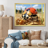 Curious ladybug meadows - Ladybug Canvas Wall Art