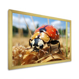 Curious ladybug meadows - Ladybug Canvas Wall Art