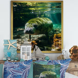 Serene Sea Giant Portrait of a Manatee - Manatee Wall Decor