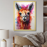 Portrait of a quirky Llama - Llama Canvas Wall Art