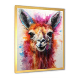 Portrait of a quirky Llama - Llama Canvas Wall Art