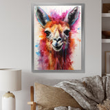 Portrait of a quirky Llama - Llama Canvas Wall Art