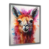 Portrait of a quirky Llama - Llama Canvas Wall Art