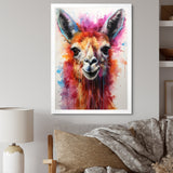 Portrait of a quirky Llama - Llama Canvas Wall Art