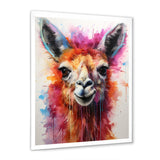 Portrait of a quirky Llama - Llama Canvas Wall Art
